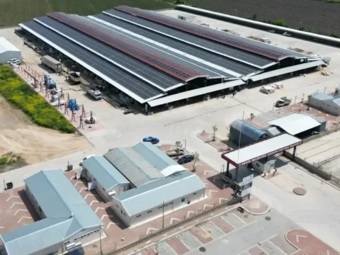Bursada inegol hayvan pazari iki ay aradan sonra bu hafta aciliyor I6eXN89v